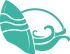 13.png