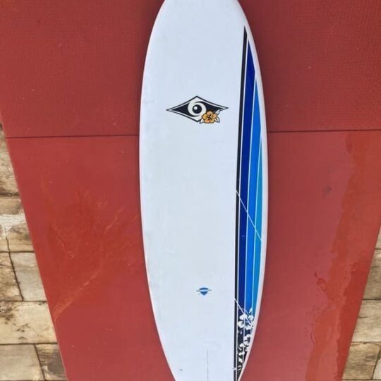 Surf-board-225