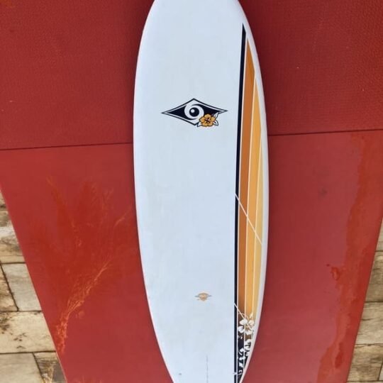 Surf-board-226